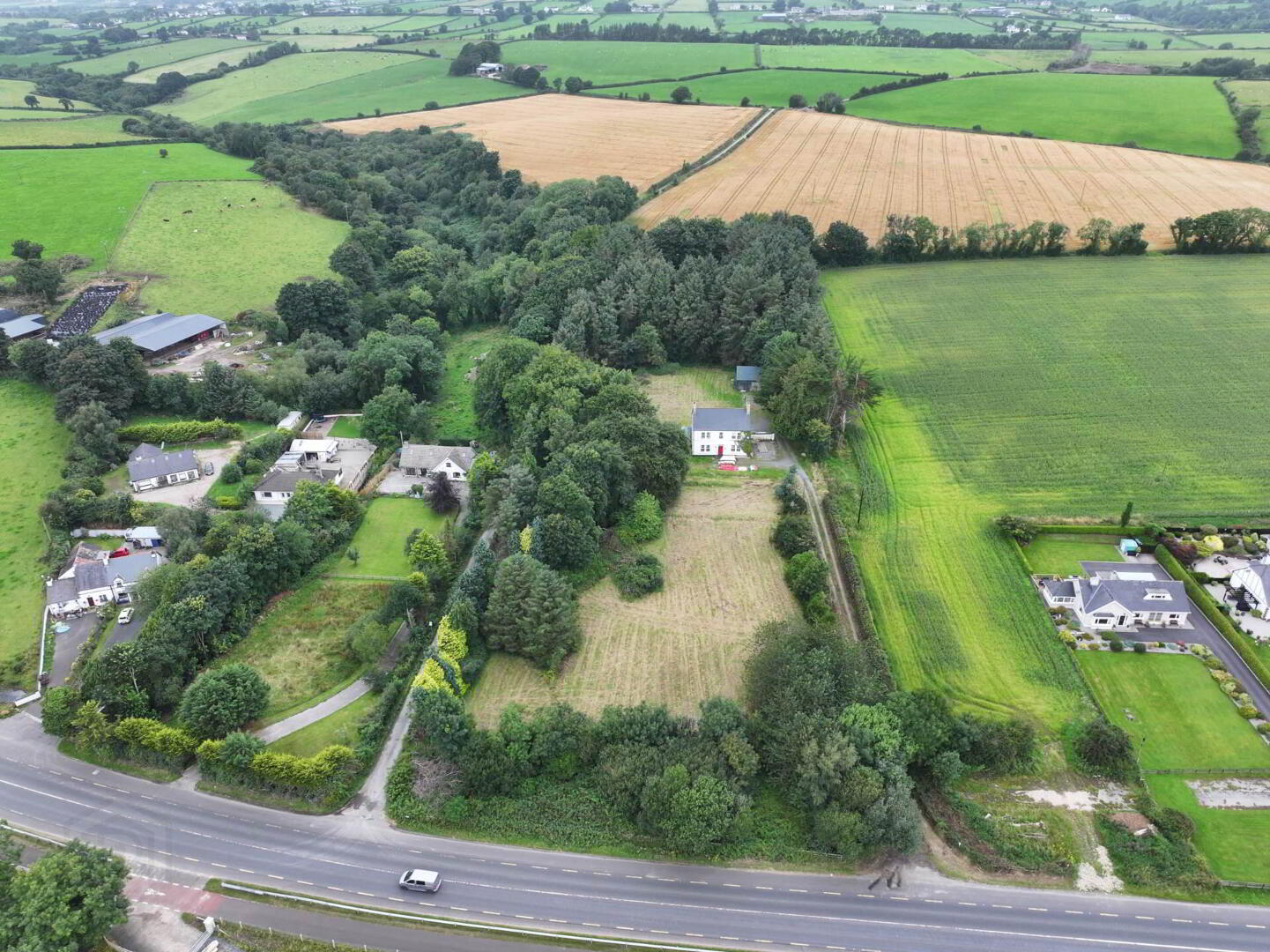 House nestled in mature woodland with views toward Lough Foyle