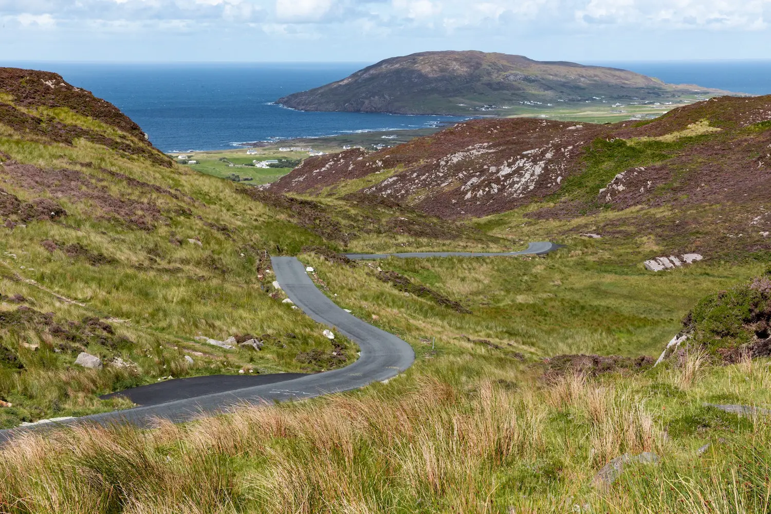 The property in its setting — fields, woodland, and Lough Foyle beyond